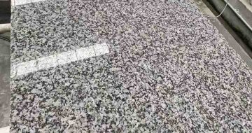 阜新 芙蓉白光面