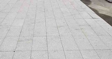 阜新芝麻白地铺案例