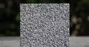 阜新 芝麻黑荔枝面