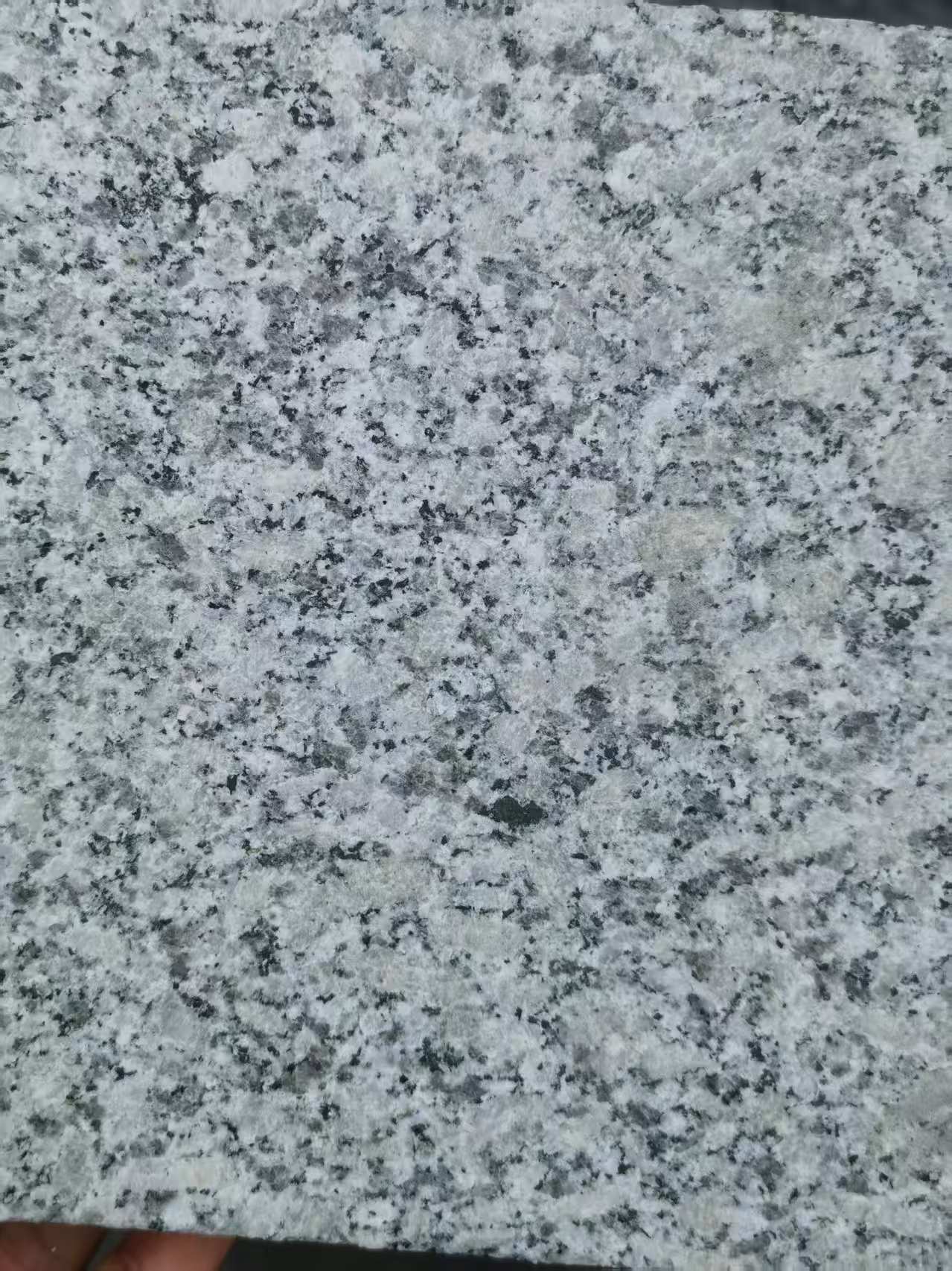 阜新 芙蓉白火烧面
