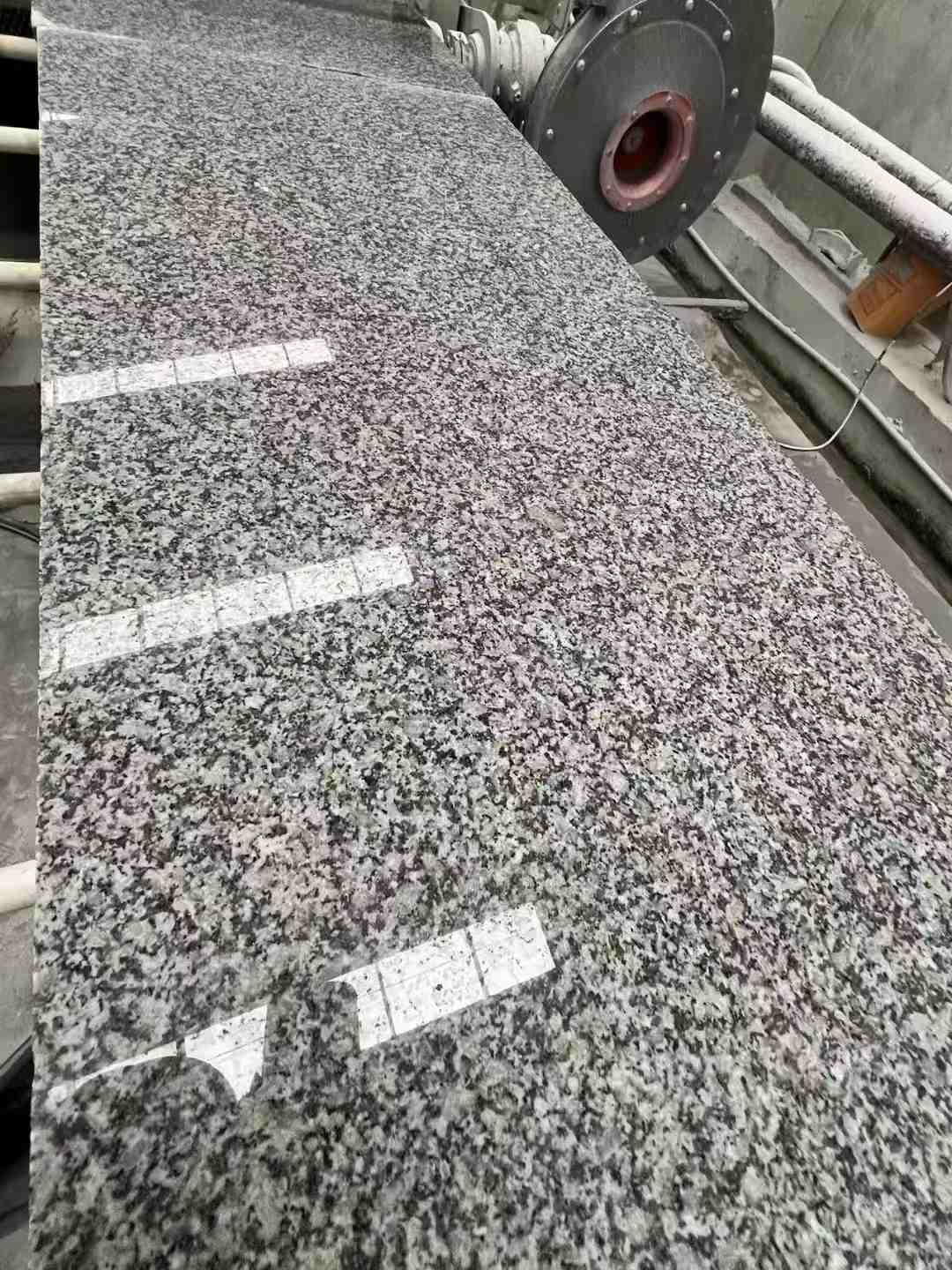 阜新 芙蓉白光面