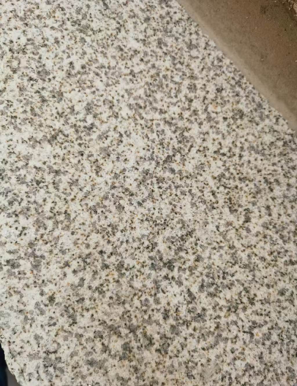 阜新 黄金麻中黄光面