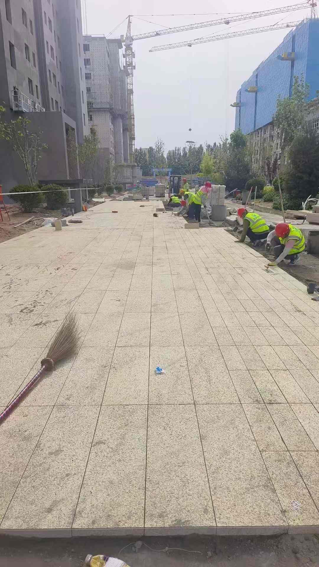 阜新黄金麻荔枝面地铺案例